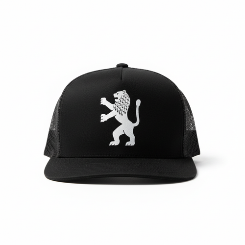 Jerusalem Lion Hat - Professional Product Photo