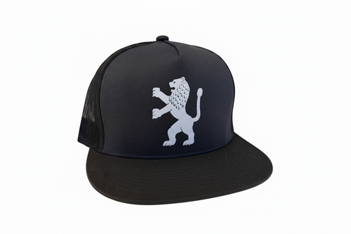 Lion Hat - Correct Orientation